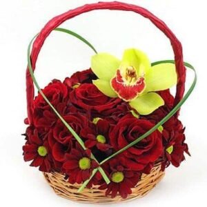 Heart to heart BiH 1