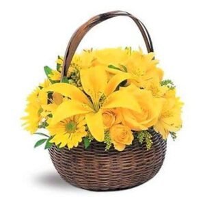 Korpa sa cvecem BiH 1