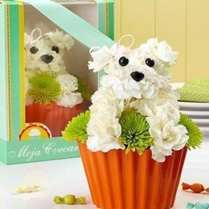 Pup cake in Bloom 1