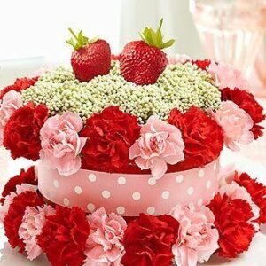 Strawberry Shortcake 1