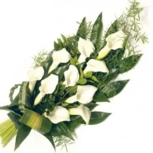 Suza