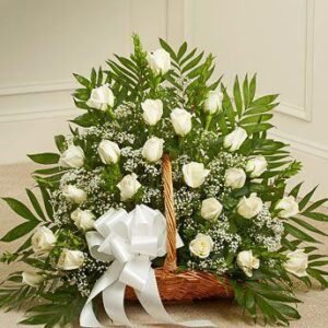 belo cvece u korpi beograd 1