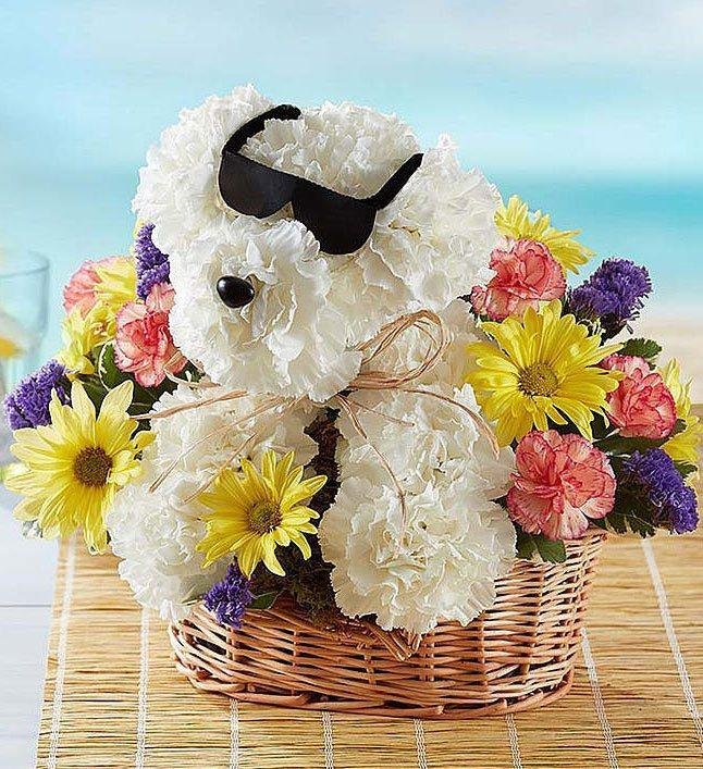 zivotinje od cveca 002 1