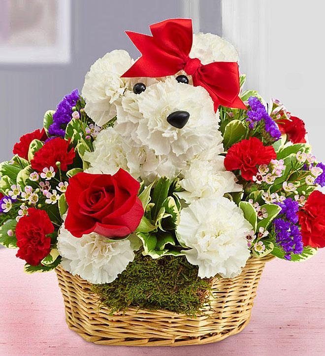 zivotinje od cveca 003 1