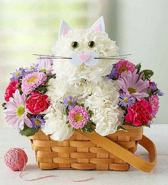 zivotinje od cveca 004 1