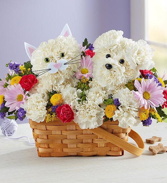 zivotinje od cveca 009 1